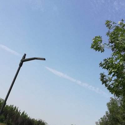 九游宠兽争斗手游下载